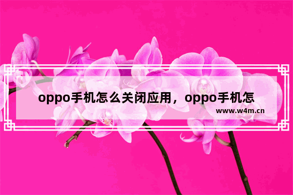 oppo手机怎么关闭应用，oppo手机怎么关闭应用加密