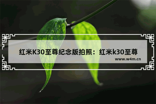 红米K30至尊纪念版拍照：红米k30至尊纪念版拍照参数