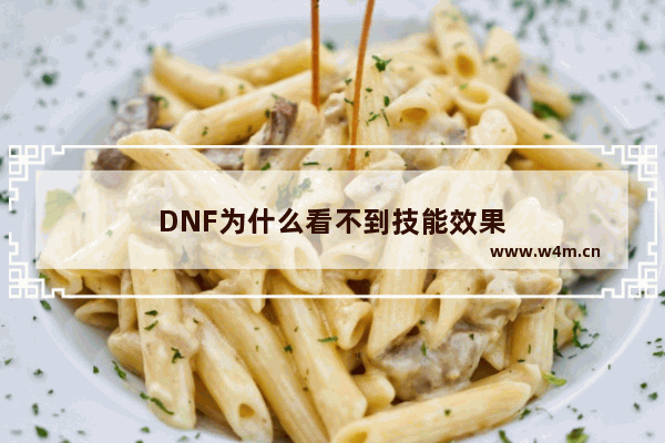 DNF为什么看不到技能效果