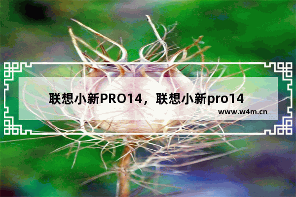 联想小新PRO14，联想小新pro14 2023