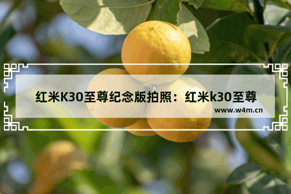 红米K30至尊纪念版拍照：红米k30至尊纪念版拍照参数