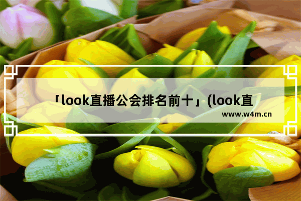 「look直播公会排名前十」(look直播公会排名前十嘉音)