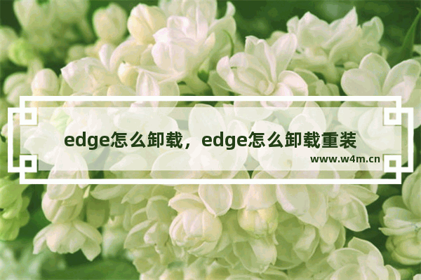 edge怎么卸载，edge怎么卸载重装