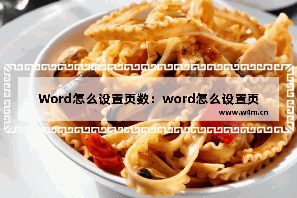 Word怎么设置页数：word怎么设置页数和目录