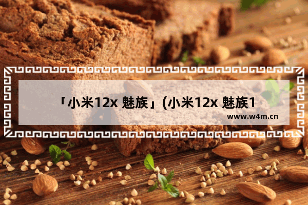 「小米12x 魅族」(小米12x 魅族18x)