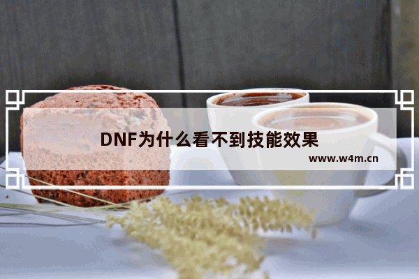 DNF为什么看不到技能效果