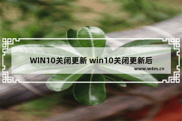 WIN10关闭更新 win10关闭更新后仍然更新