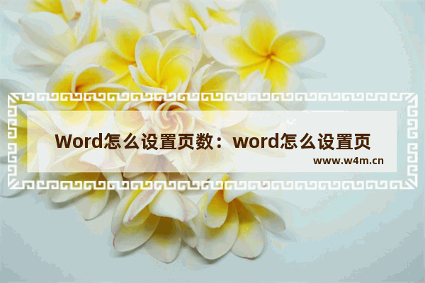 Word怎么设置页数：word怎么设置页数和目录