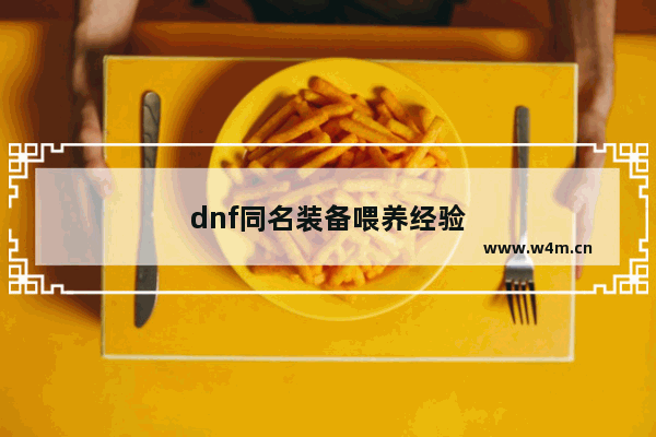 dnf同名装备喂养经验