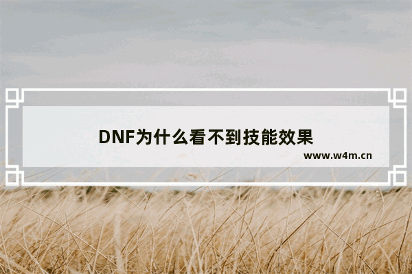 DNF为什么看不到技能效果