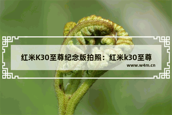 红米K30至尊纪念版拍照：红米k30至尊纪念版拍照参数