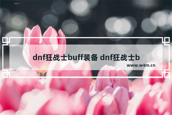 dnf狂战士buff装备 dnf狂战士buff装备有什么用