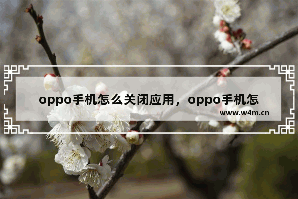 oppo手机怎么关闭应用，oppo手机怎么关闭应用加密