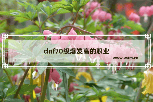 dnf70级爆发高的职业