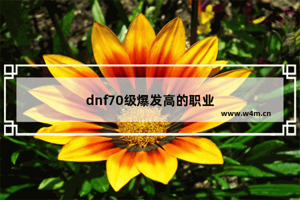 dnf70级爆发高的职业