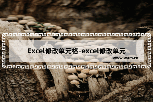 Excel修改单元格-excel修改单元格内容坐标数据