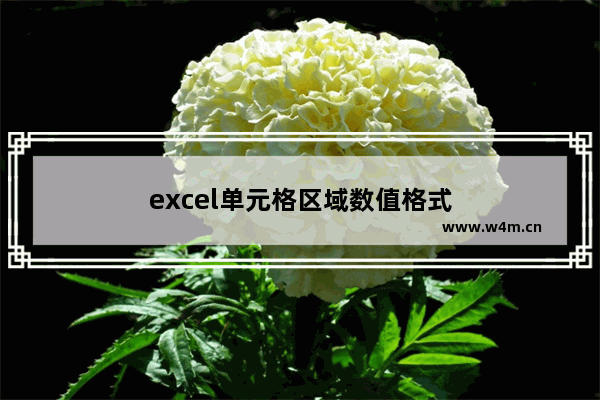 excel单元格区域数值格式