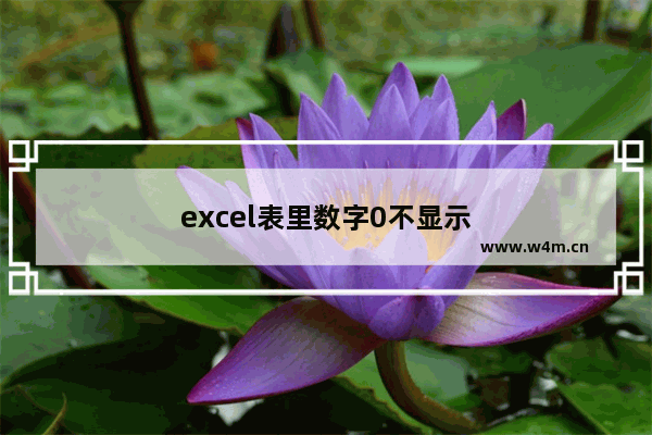 excel表里数字0不显示