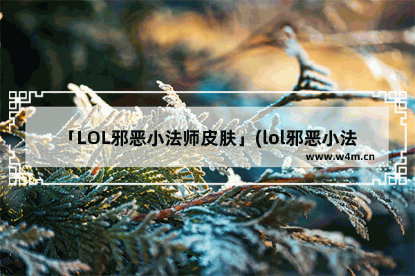 「LOL邪恶小法师皮肤」(lol邪恶小法师皮肤特效)