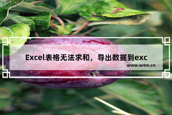 Excel表格无法求和，导出数据到excel表格无法求和