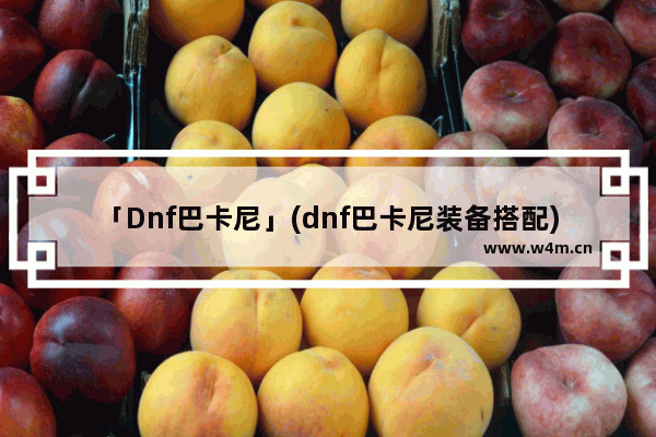 「Dnf巴卡尼」(dnf巴卡尼装备搭配)