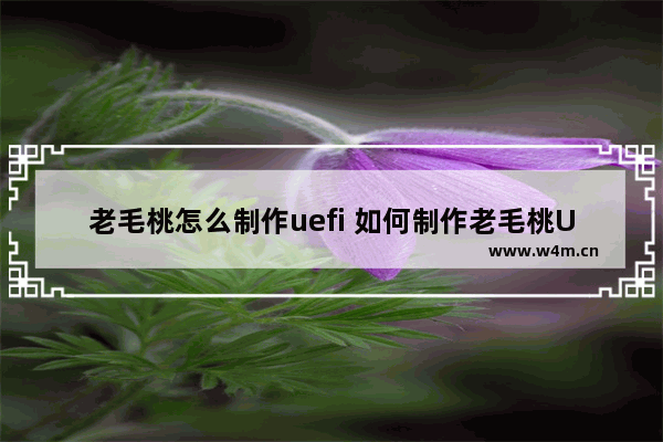 老毛桃怎么制作uefi 如何制作老毛桃UEFI