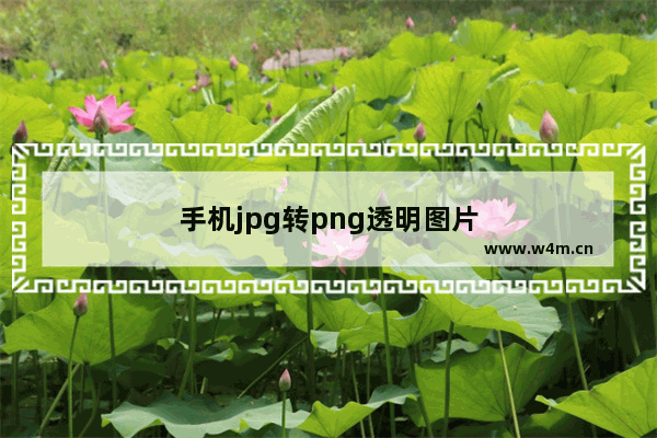 手机jpg转png透明图片