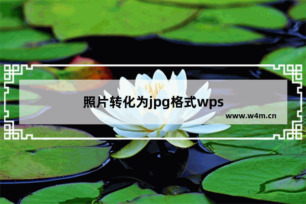 照片转化为jpg格式wps