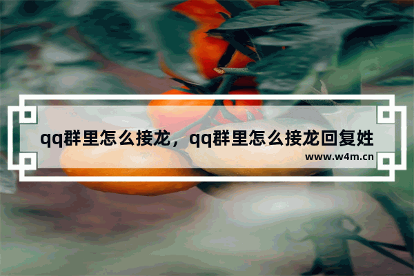 qq群里怎么接龙，qq群里怎么接龙回复姓名