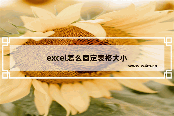 excel怎么固定表格大小