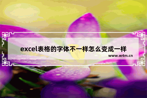 excel表格的字体不一样怎么变成一样