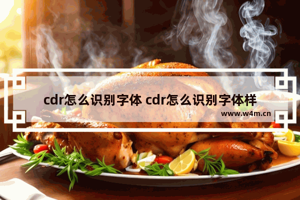 cdr怎么识别字体 cdr怎么识别字体样式