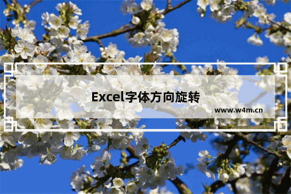 Excel字体方向旋转