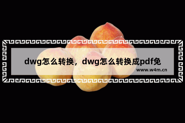 dwg怎么转换，dwg怎么转换成pdf免费