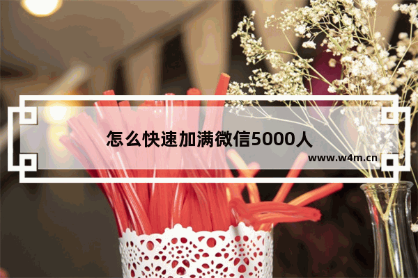 怎么快速加满微信5000人