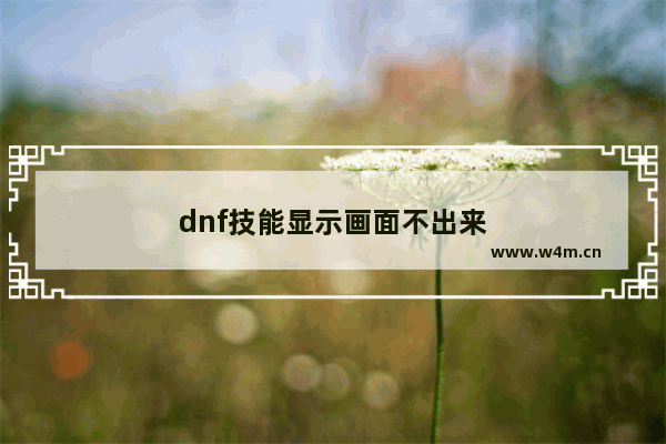 dnf技能显示画面不出来