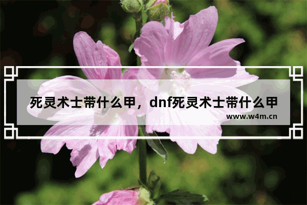 死灵术士带什么甲，dnf死灵术士带什么甲