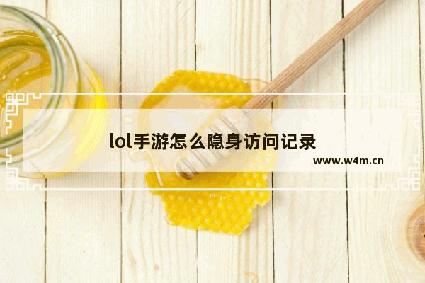 lol手游怎么隐身访问记录