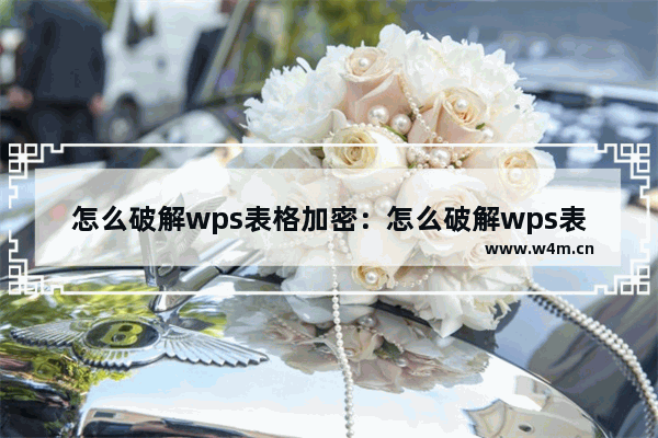 怎么破解wps表格加密：怎么破解wps表格加密文档