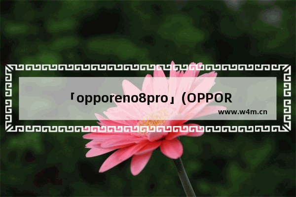 「opporeno8pro」(OPPOReno8Pro+和小米13)