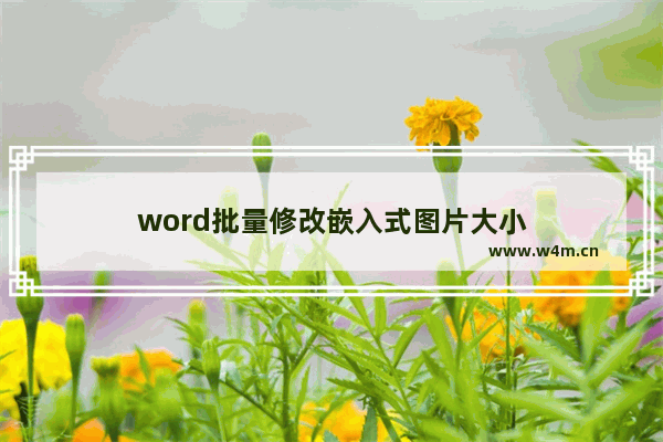 word批量修改嵌入式图片大小