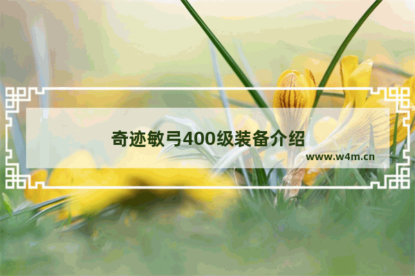 奇迹敏弓400级装备介绍