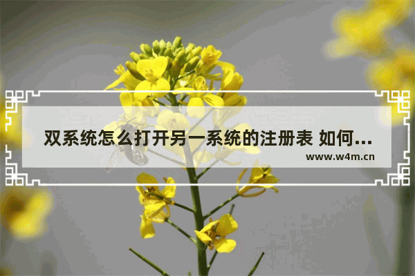 双系统怎么打开另一系统的注册表 如何打开双系统中的另一系统注册表