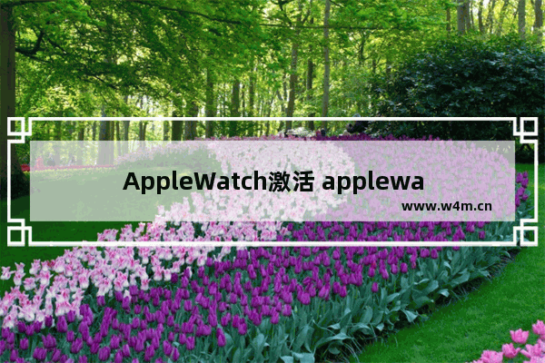 AppleWatch激活 applewatch激活锁