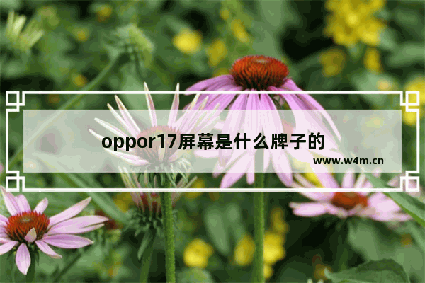 oppor17屏幕是什么牌子的