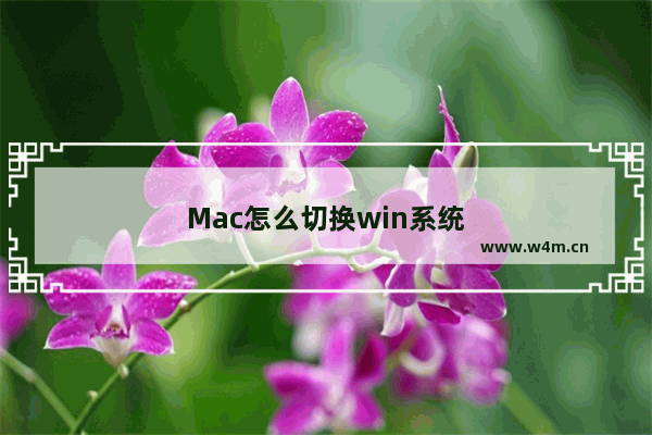 Mac怎么切换win系统