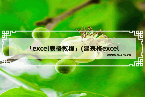 「excel表格教程」(建表格excel表格教程)