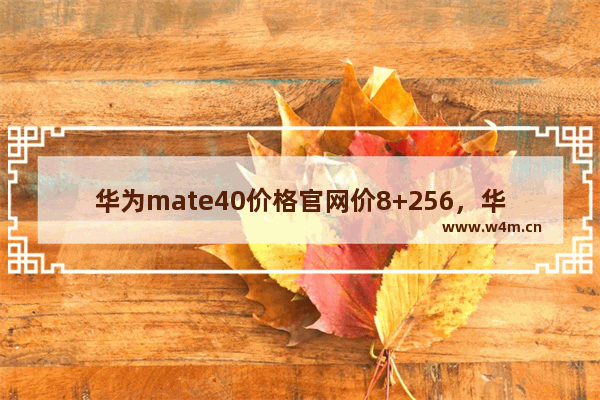 华为mate40价格官网价8+256，华为mate40价格官网价8+256涨价