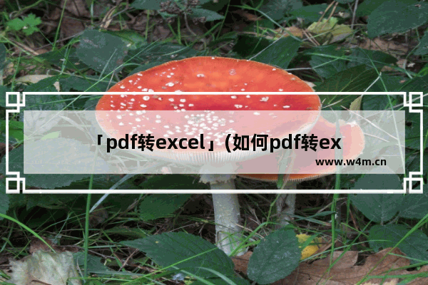 「pdf转excel」(如何pdf转excel)