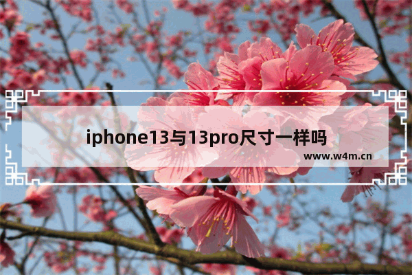 iphone13与13pro尺寸一样吗